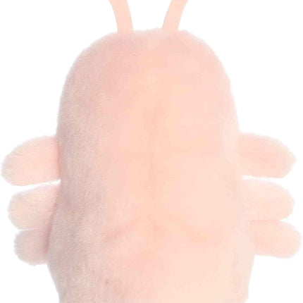 PALM Augustin Shrimp