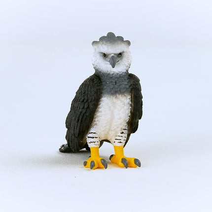 WILD Harpy Eagle