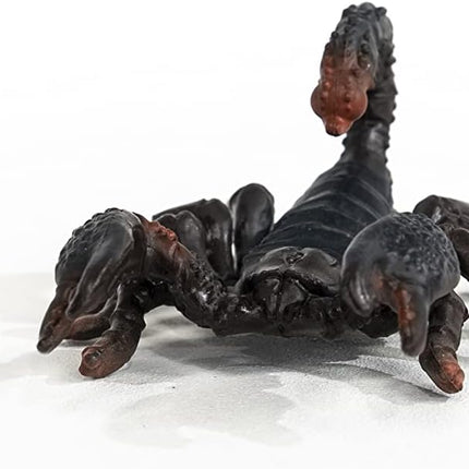 WILD Emperor Scorpion