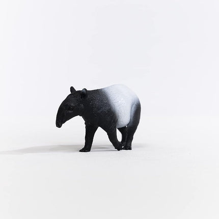 WILD Tapir