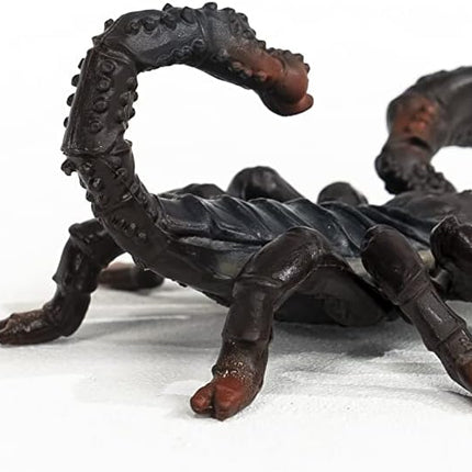 WILD Emperor Scorpion