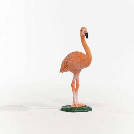 WILD Flamingo