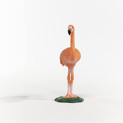 WILD Flamingo