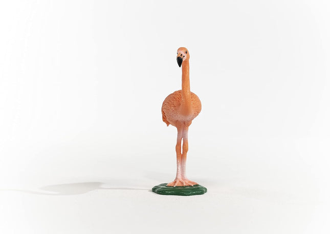 WILD Flamingo