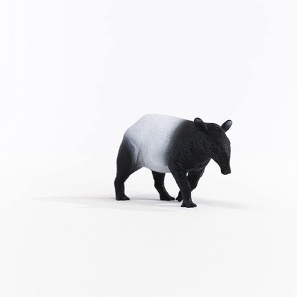 WILD Tapir