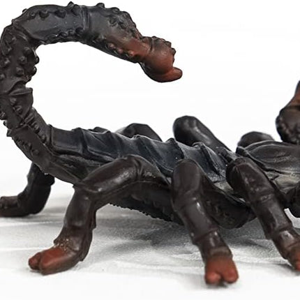 WILD Emperor Scorpion