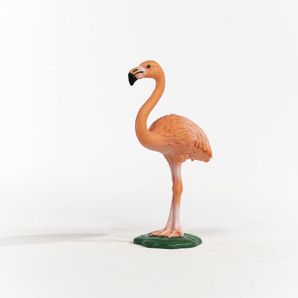 WILD Flamingo