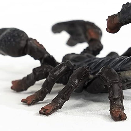 WILD Emperor Scorpion