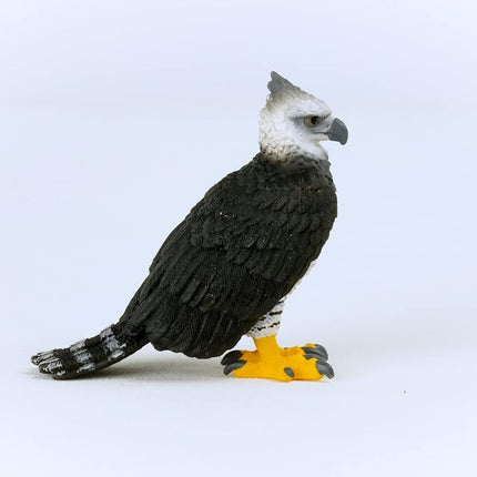 WILD Harpy Eagle