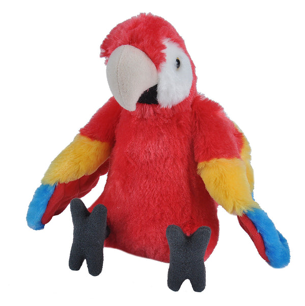 CK Macaw Scarlet