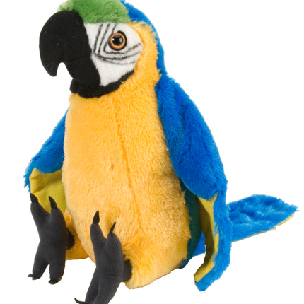 CK Parrot Macaw