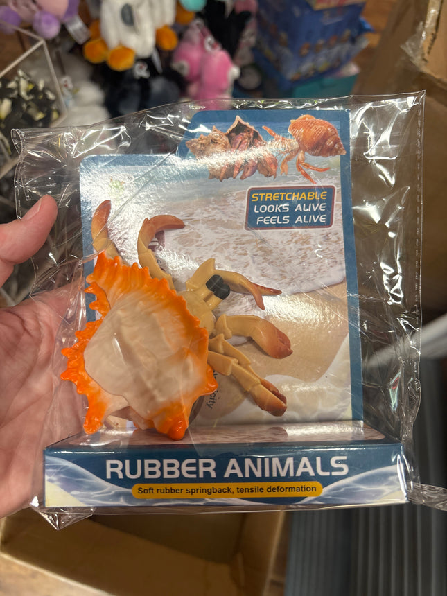 Stretchy hermit crab 5”