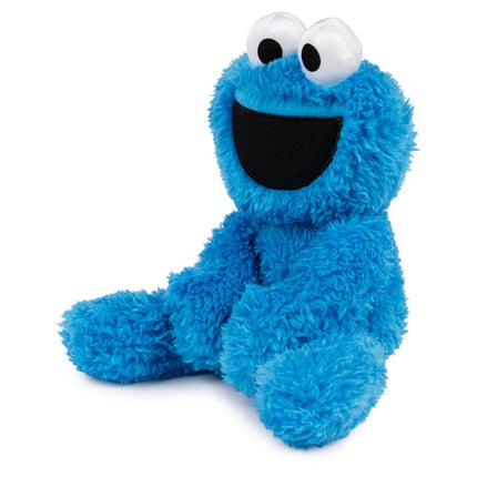 SS Cookie Monster Taggie 13"