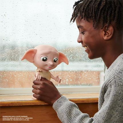 HP Dobby Interactive