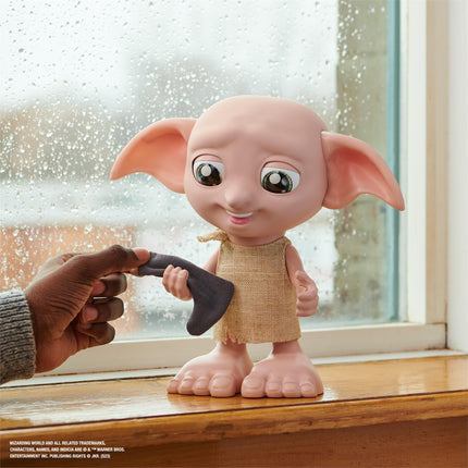 HP Dobby Interactive