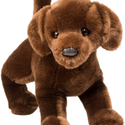 Cocoa CHOCOLATE LAB 16"