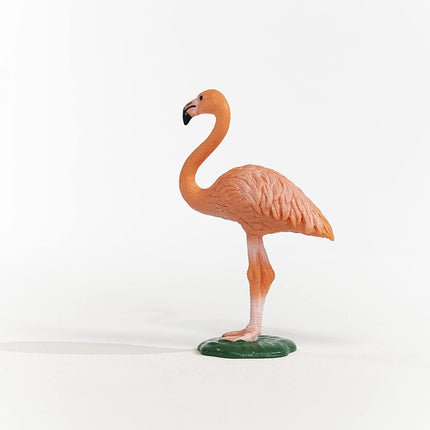 WILD Flamingo