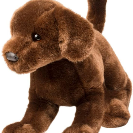 Cocoa CHOCOLATE LAB 16"