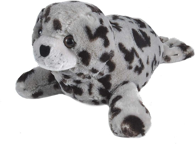 CK Harbor Seal 12"