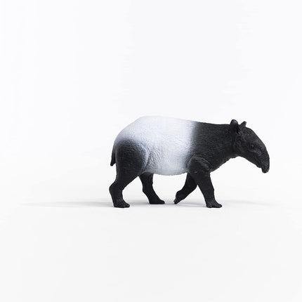 WILD Tapir