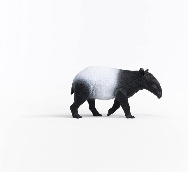 WILD Tapir