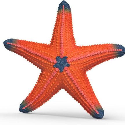 WILD Starfish with color change