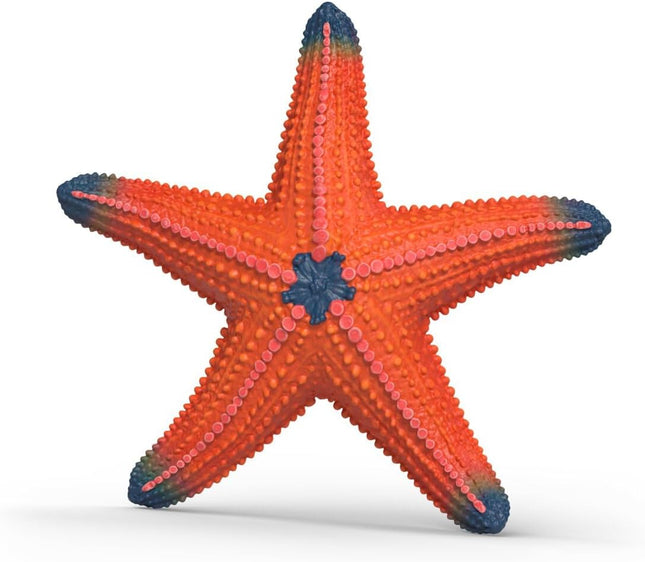 WILD Starfish with color change