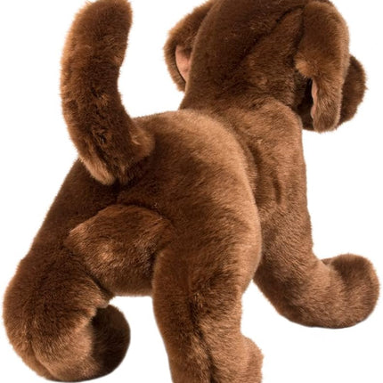 Cocoa CHOCOLATE LAB 16"