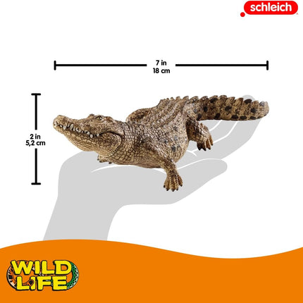 WILD Crocodile