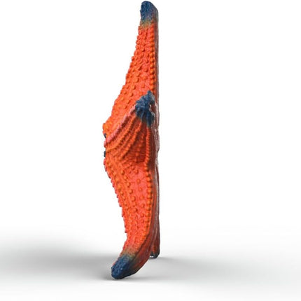 WILD Starfish with color change