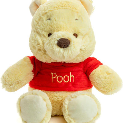 WP Winnie Pooh