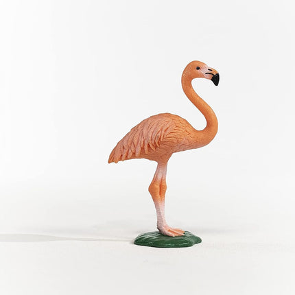 WILD Flamingo