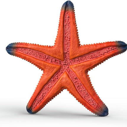 WILD Starfish with color change