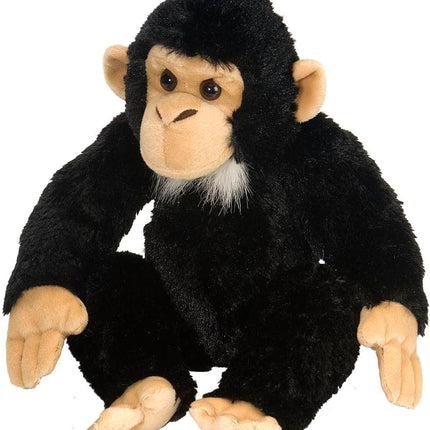 CK Chimpanzee 12"