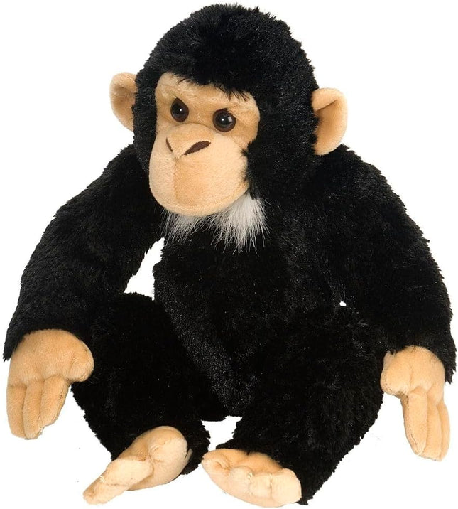 CK Chimpanzee 12"