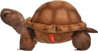 CK Desert Tortoise