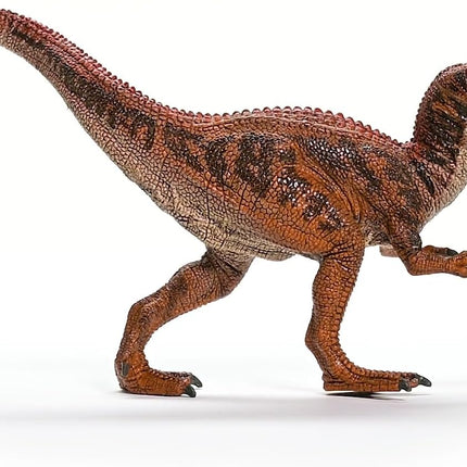 DINO Allosaurus