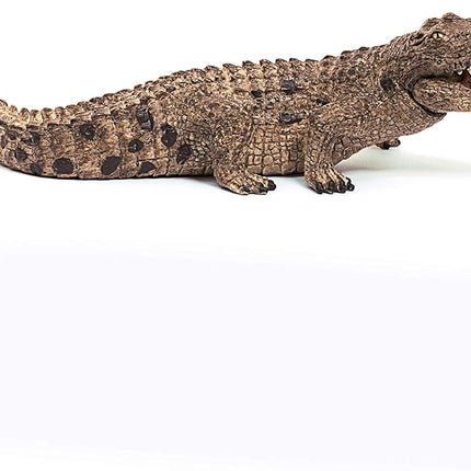 WILD Crocodile