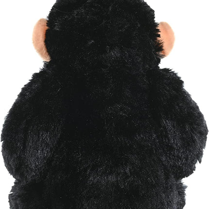 CK Chimpanzee 12"