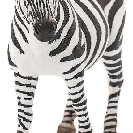 WILD Zebra Female