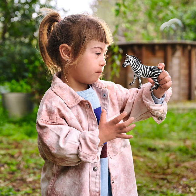 WILD Zebra Female