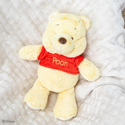 WP Winnie Pooh