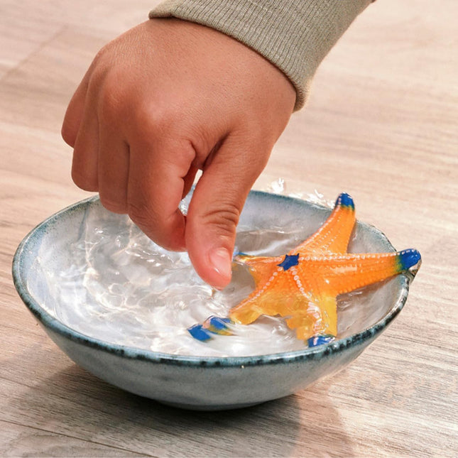 WILD Starfish with color change