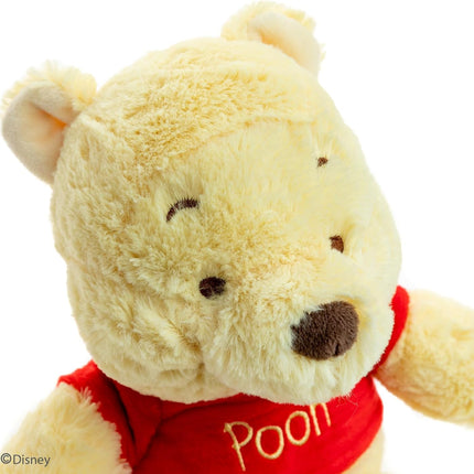 WP Winnie Pooh