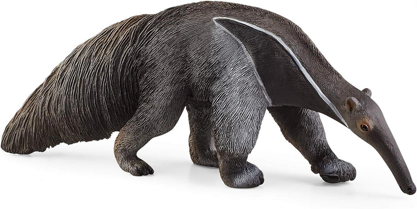 WILD Anteater