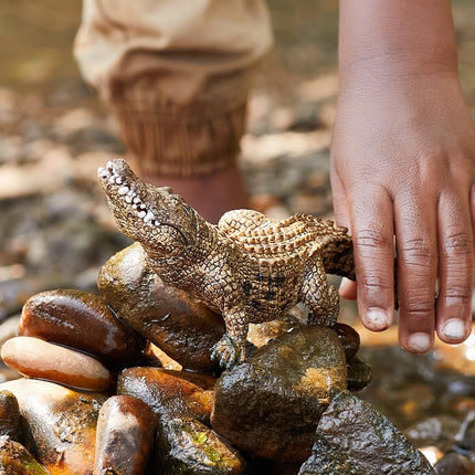 WILD Alligator