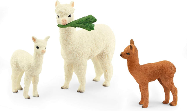 WILD BOX Alpaca Set