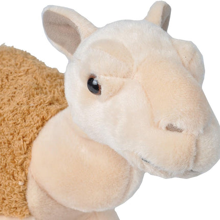 CK Camel Dromedary 12"