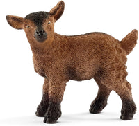 FARM Goat Kid