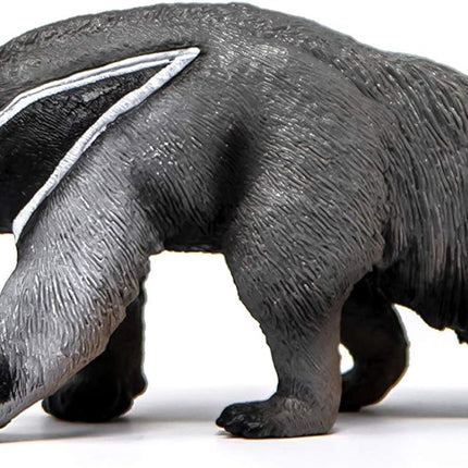 WILD Anteater